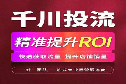 成功企业SEM竞价代运营案例研究